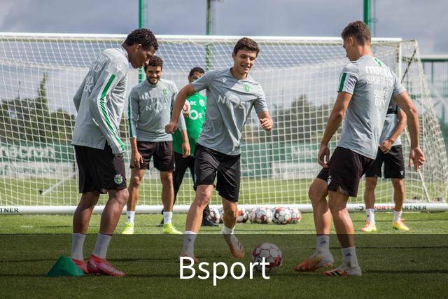 Bsport 公司简介